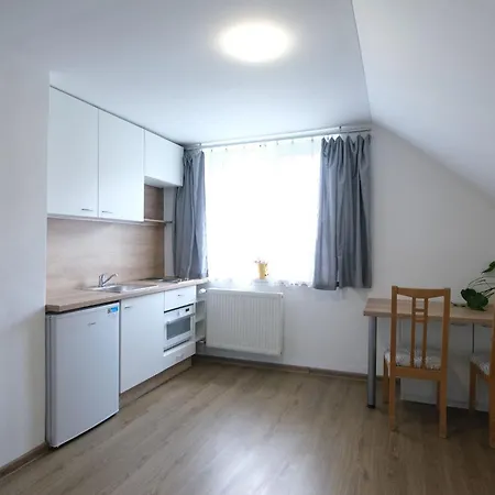 Ostrava, 45 M2 V Rd Apartment